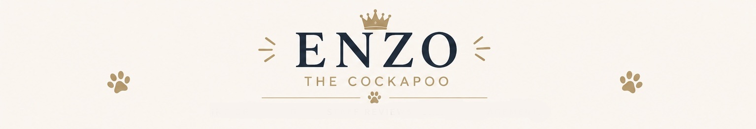 Enzo Has Notes banner