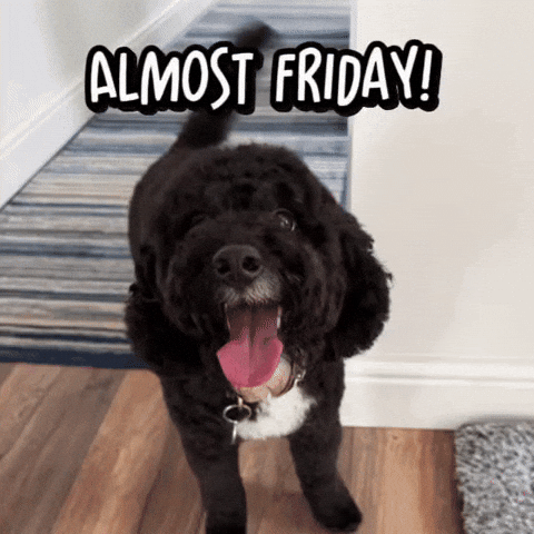 Enzo saying Almost Friday