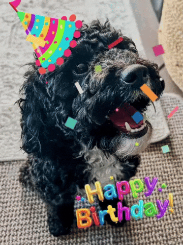 Happy Birthday from Enzo