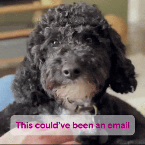 This Could Have Been an Email - Enzo GIF