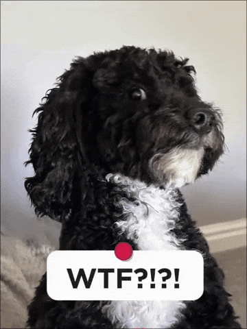 WTF? - Enzo reaction GIF