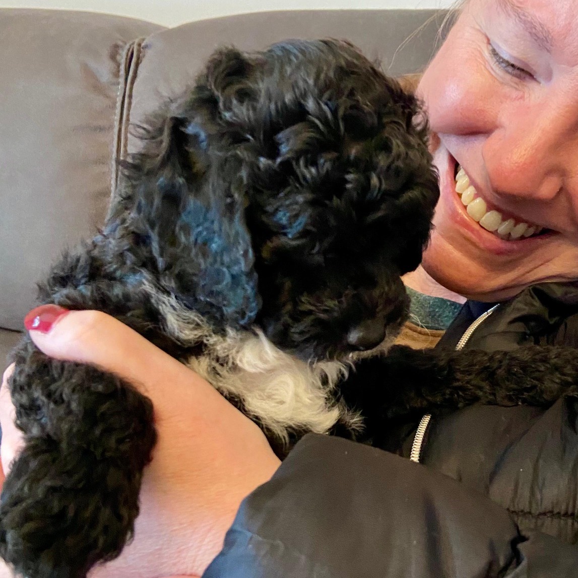Enzo, the tiny Cockapoo, meeting his new family for the first time